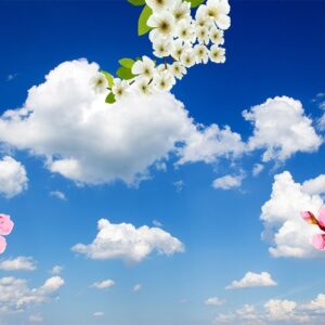 Tranh dán trần TCA-006