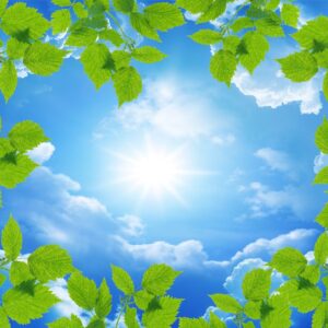 Tranh dán trần TCA-005